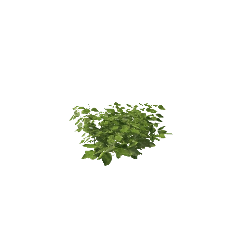 Plant 34_LOD_1